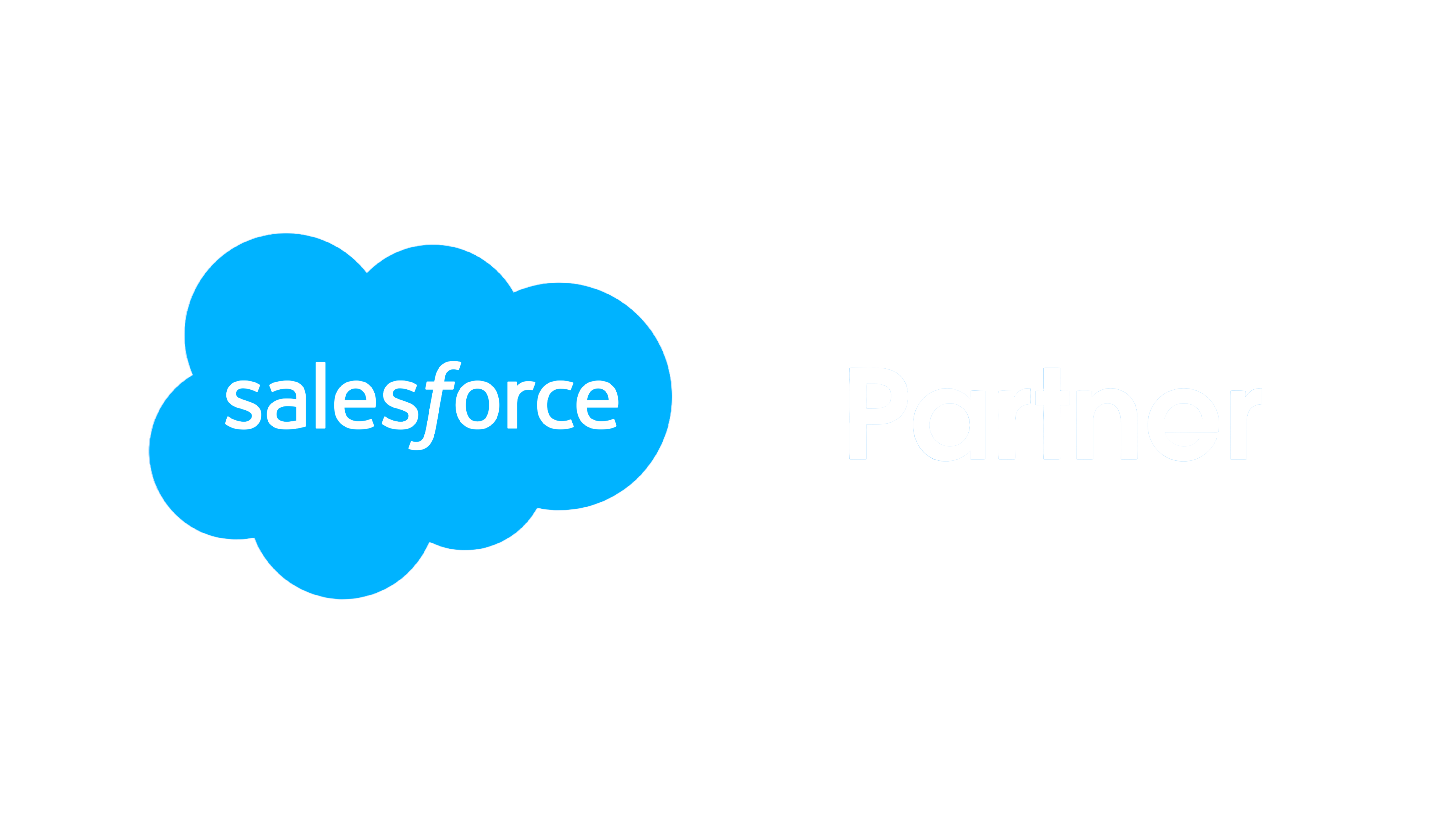 Salesforce Consulting Partner