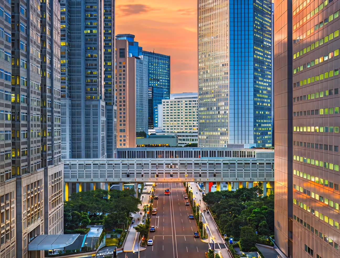 Wide city street lined with green trees flanked by tall modern skyscrapers during a colorful sunset.