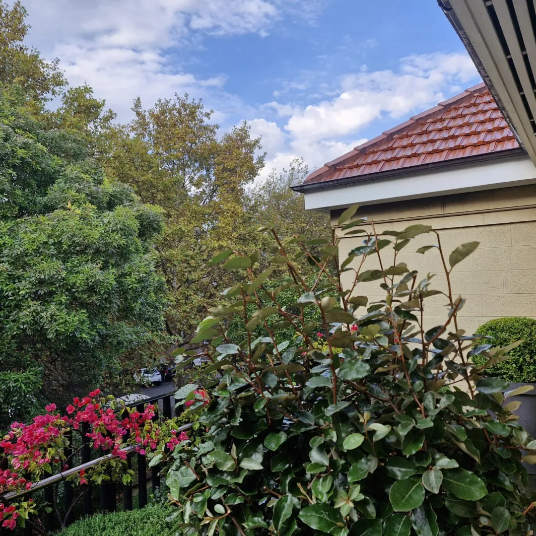 Balcony with large planters with green plants, and pink flowers on the railing.