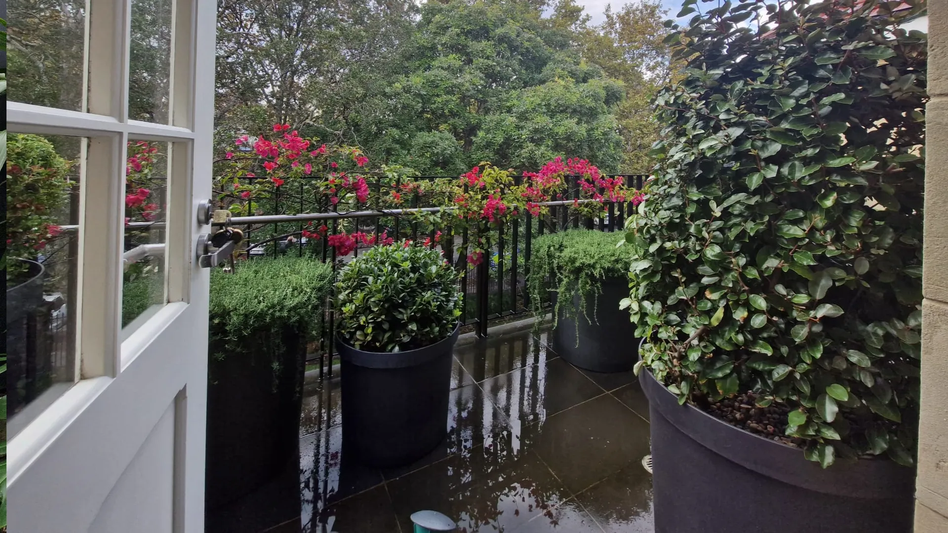 Balcony with large planters with green plants, and pink flowers on the railing.