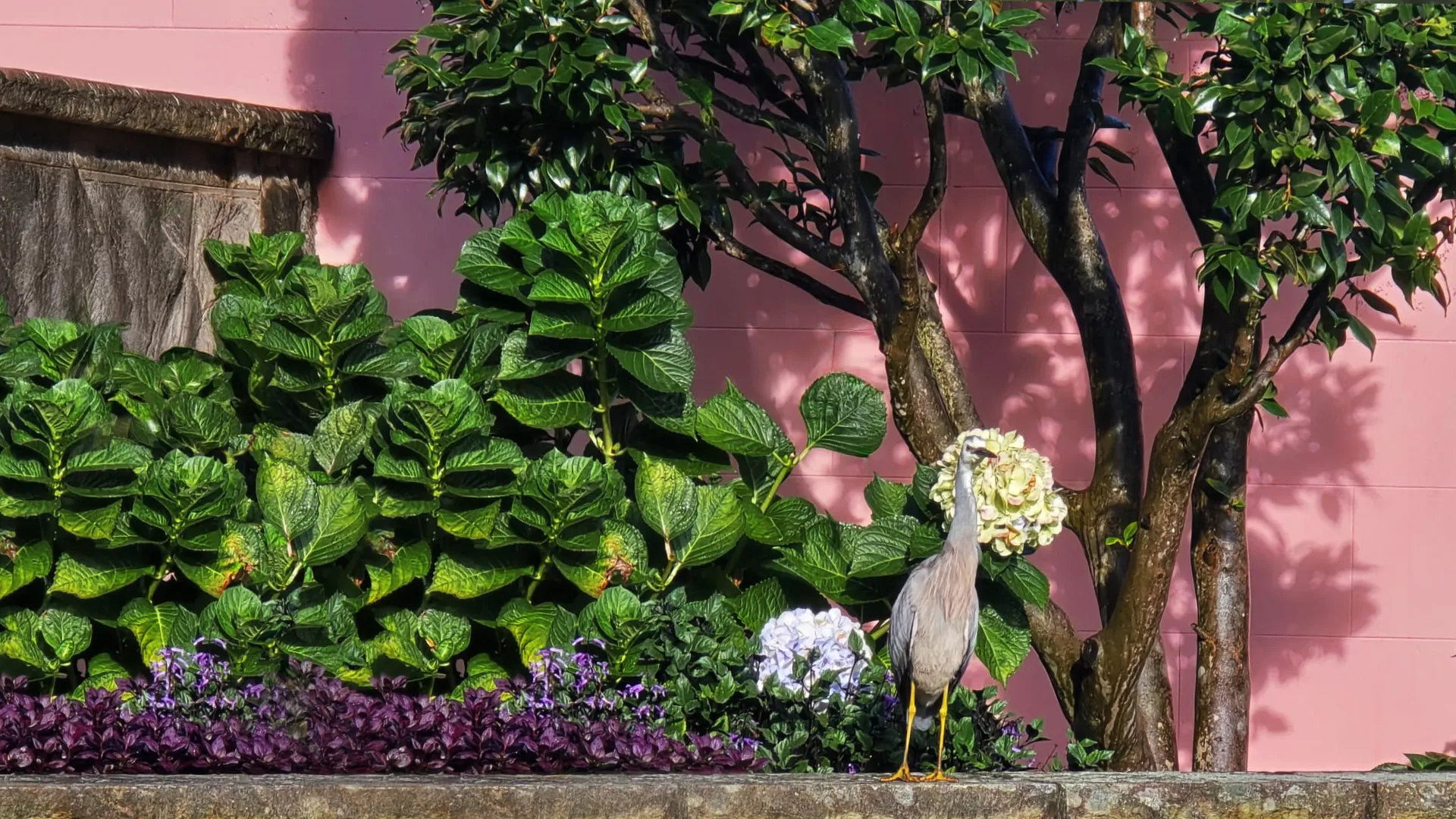 Stone planter with green plants, flowers, a tree, and a gray heron bird standing on its edge.