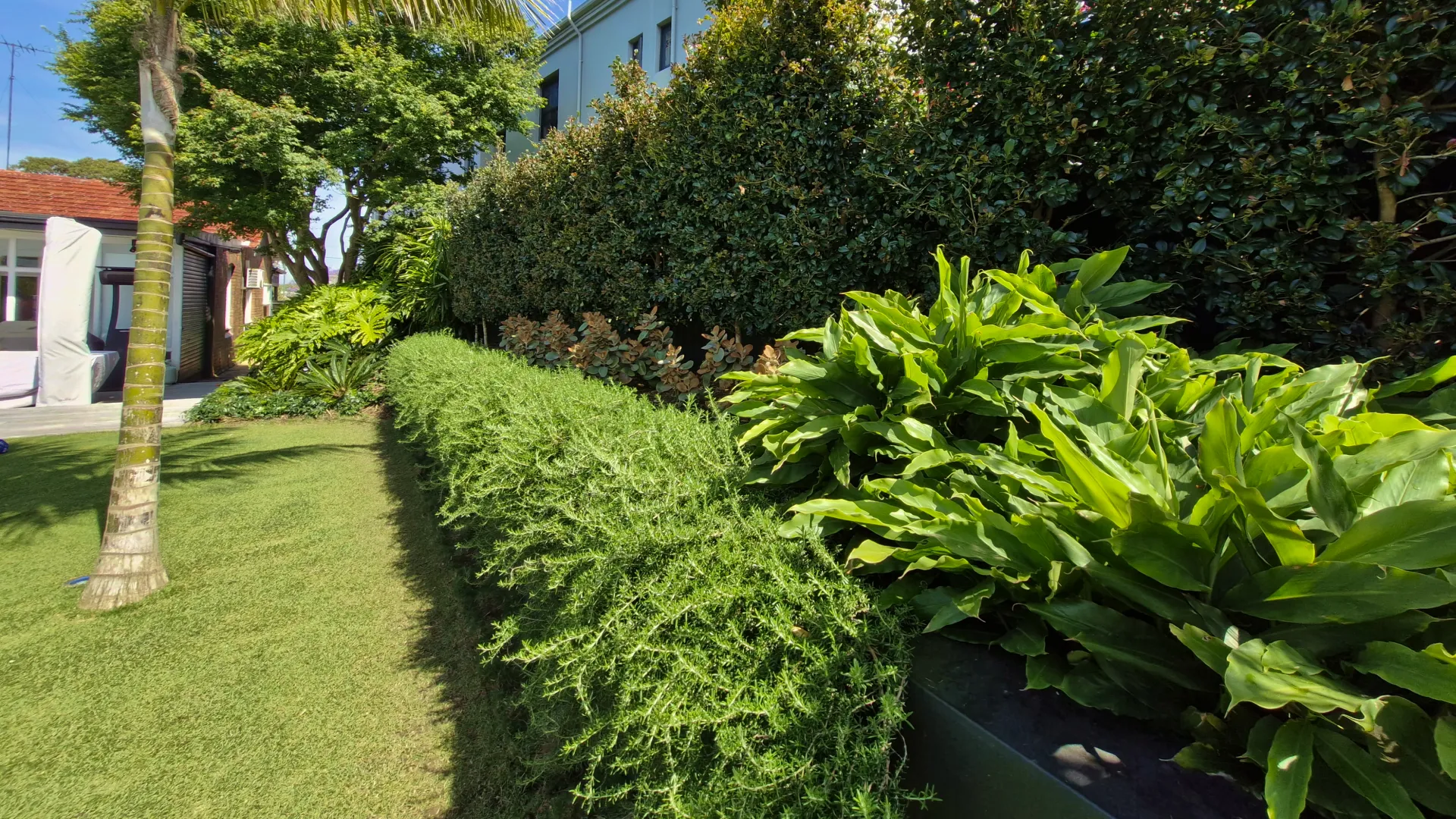 Lush garden with trimmed bushes, palm tree, large green leafy plants, and a building in the background.