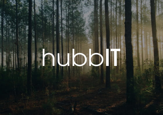 Hubbit