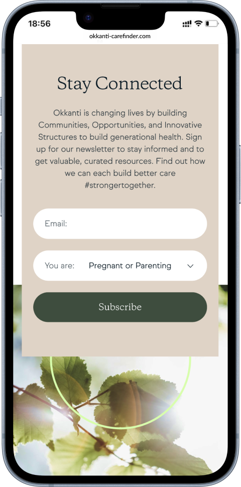 Okkanti responsive design mockup