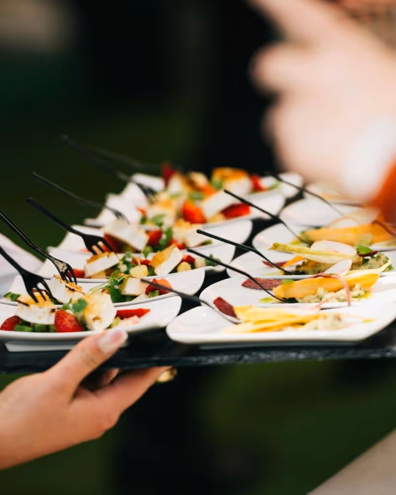 Bediening serveert verse borrelhapjes op een dienblad tijdens een zakelijk evenement door De Keukenploeg