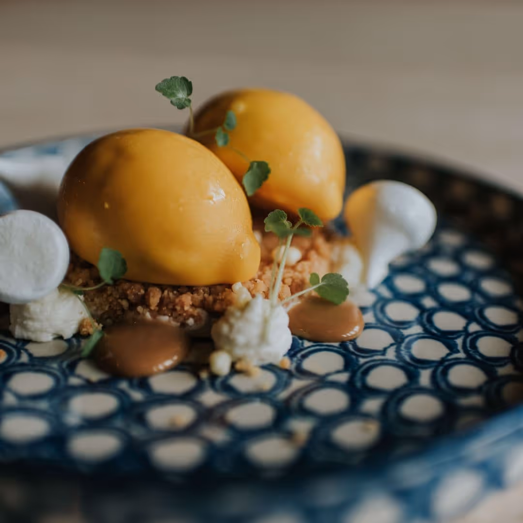 Stijlvol opgemaakt dessert met citroenmousse en witte chocolade, verzorgd door De Keukenploeg