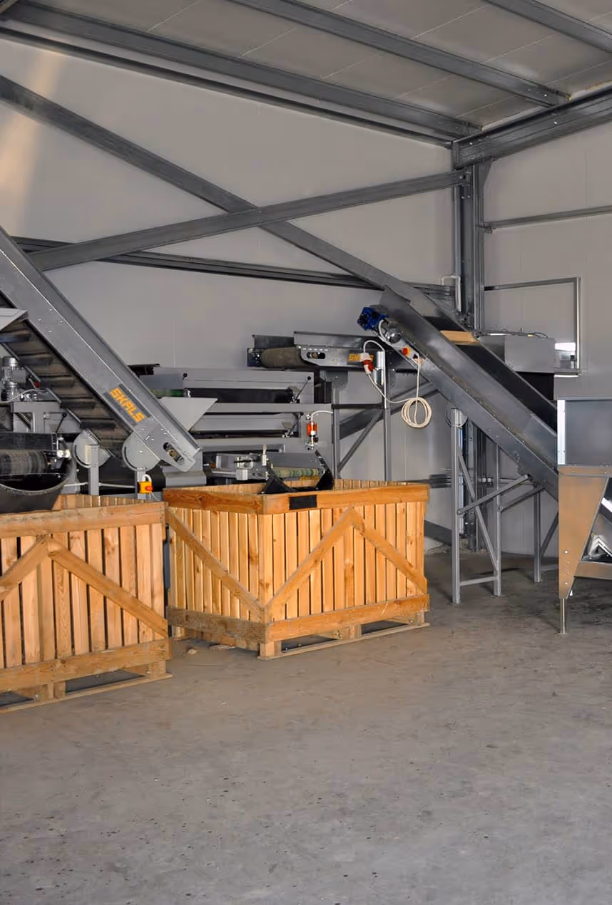 Industrial setting with wooden crates and metal conveyor belts inside a warehouse.