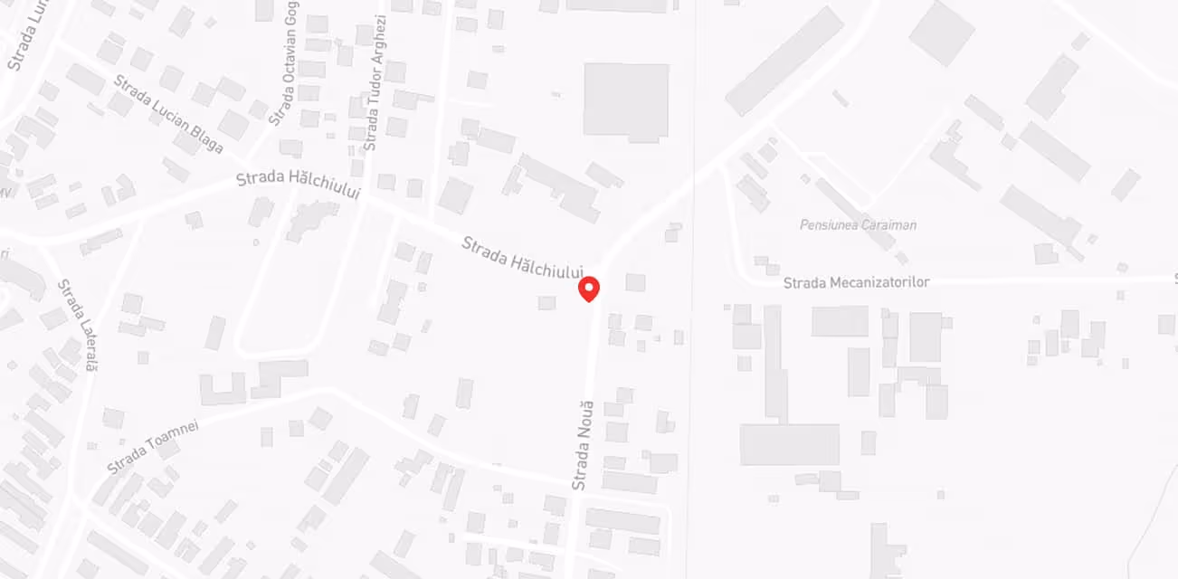 Map showing intersection of Strada Hălchiului and Strada Nouă with a red location pin near nearby residential and industrial buildings.