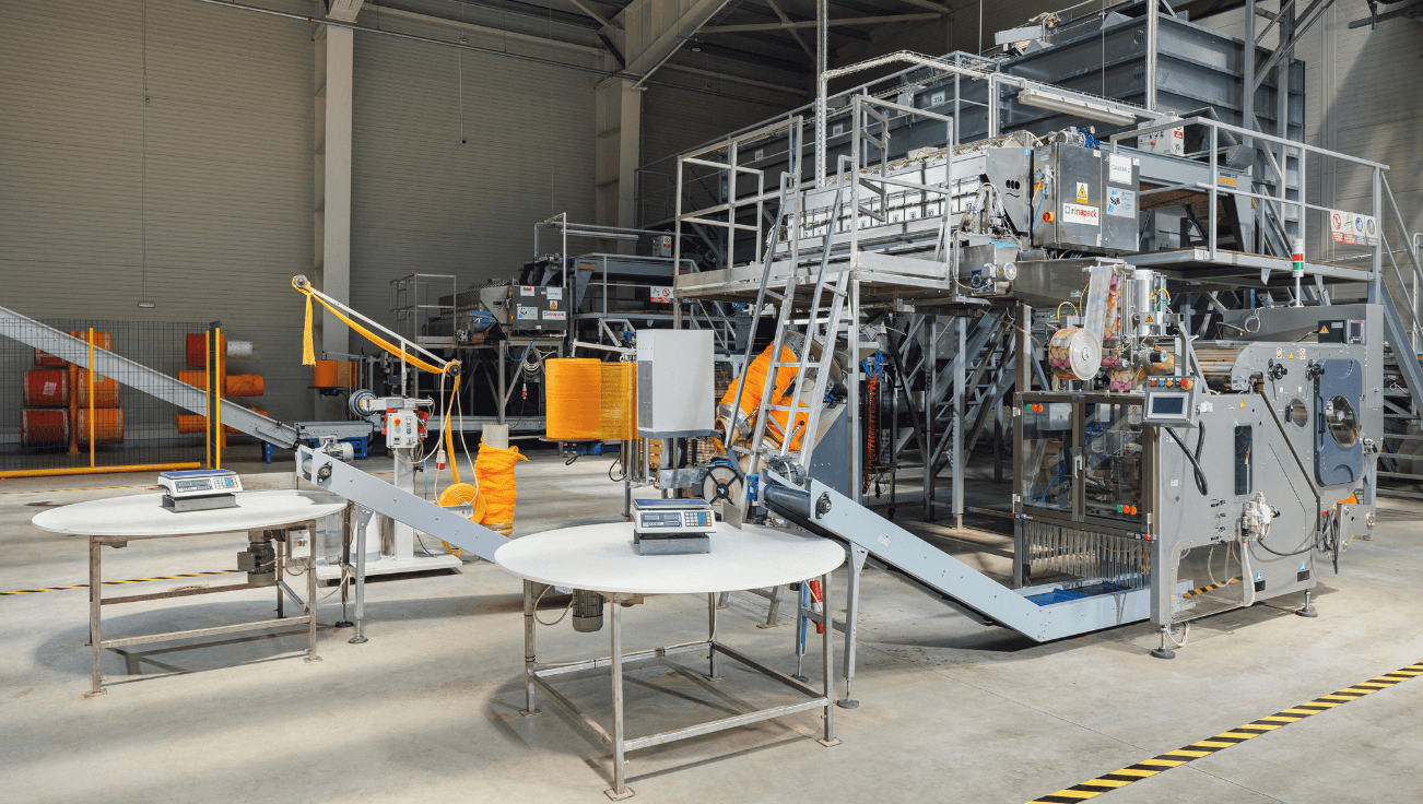 Potatoes Production Line