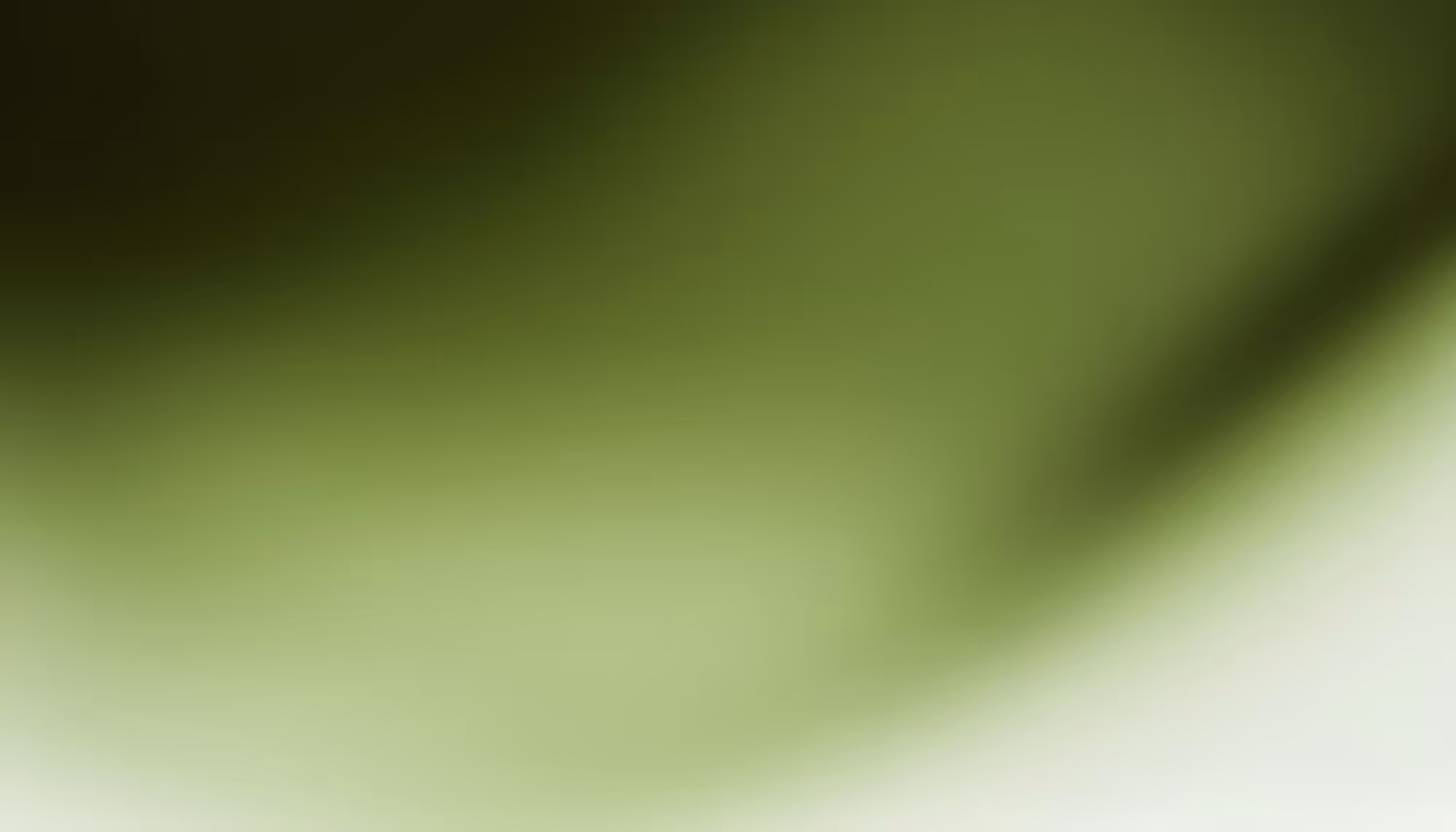 Soft abstract gradient blending dark olive green in the upper corners to medium sage green in the center, fading to pale mint white at the bottom, with a subtle curved dark shadow in the upper right.