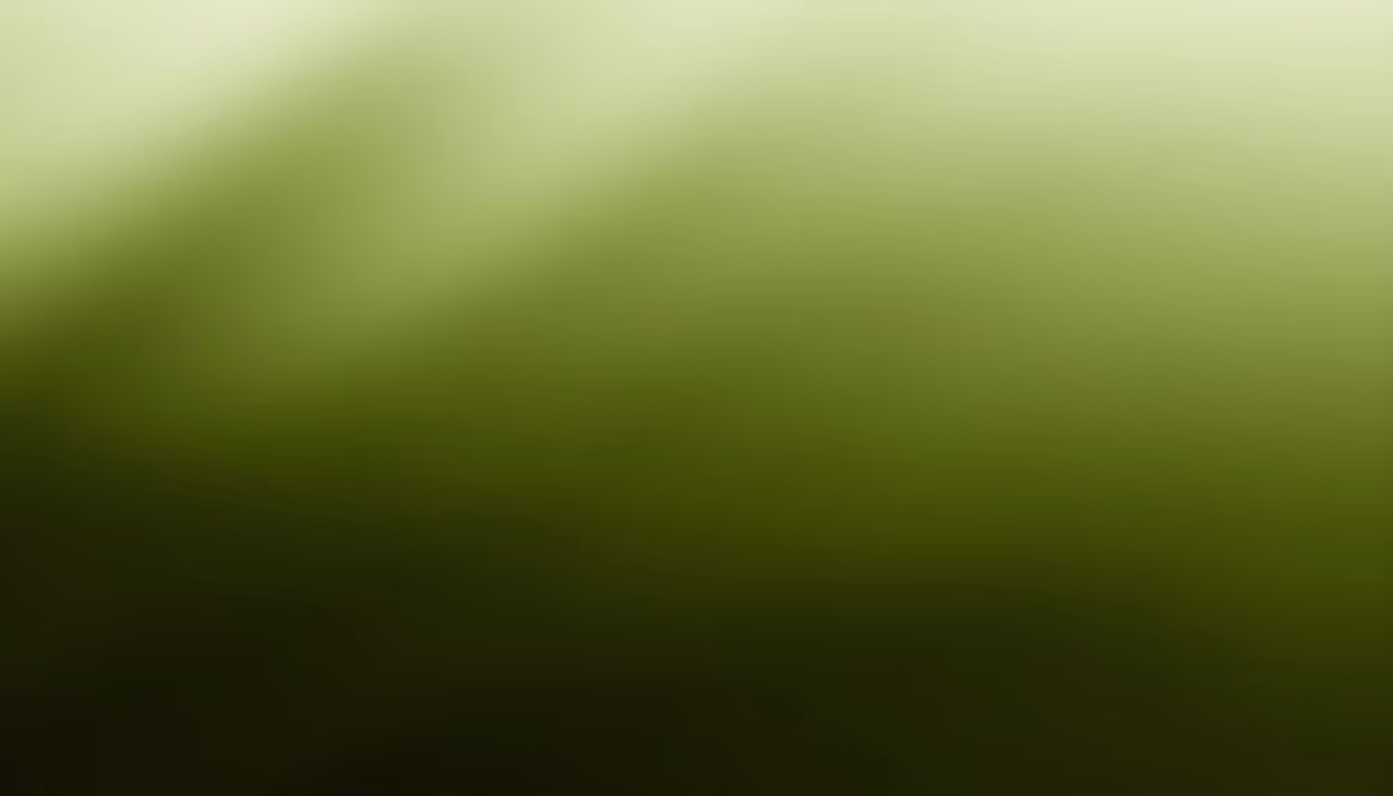 Soft blurred gradient background transitioning from pale yellow-green at the top to deep dark olive green at the bottom, with subtle darker tonal variations suggesting out-of-focus foliage.