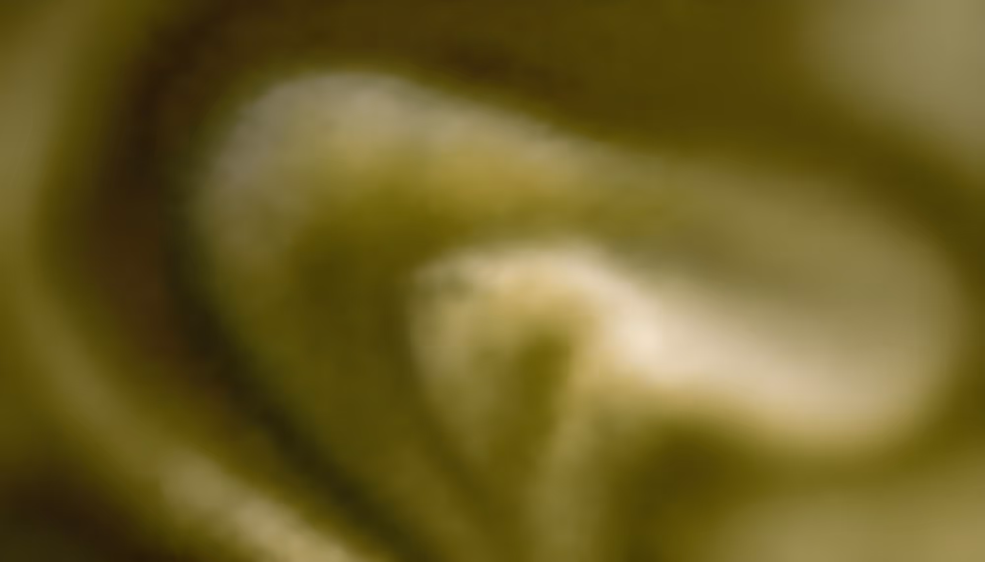 A blurred, abstract image with swirling shades of green and beige, creating a soft, mysterious, and calming effect, resembling a watercolor painting.