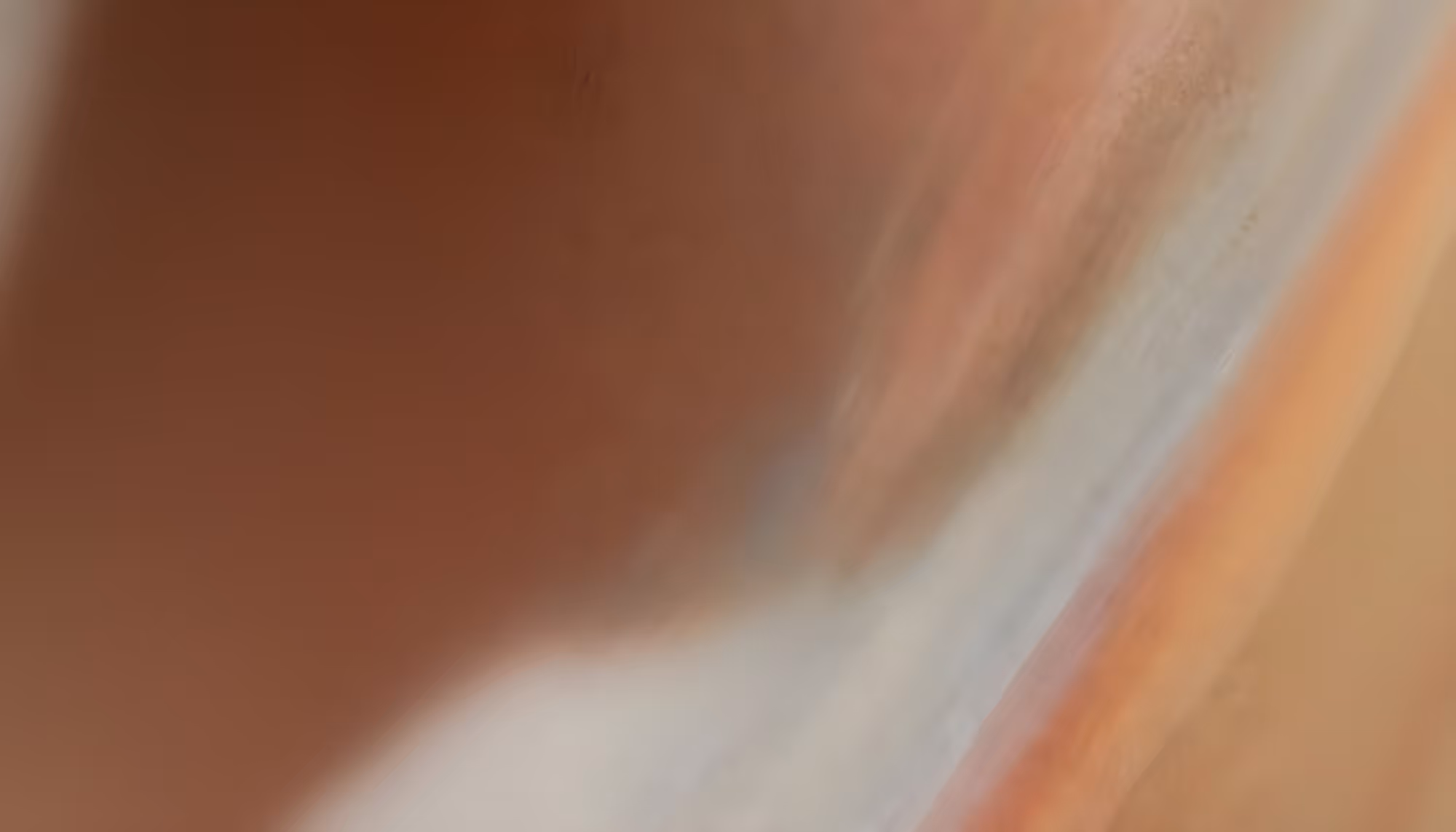 Abstract image featuring blurred swirls of earthy browns, soft whites, and muted oranges. The fluid blend creates a serene, dreamlike atmosphere.