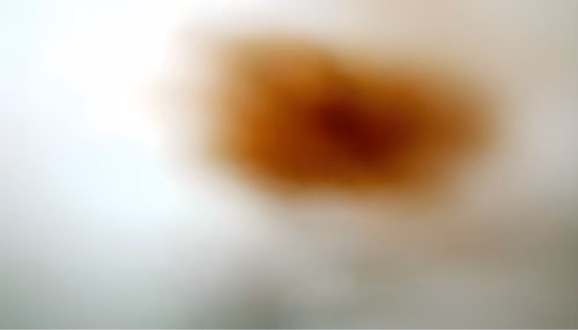 A highly blurred image with an indistinct, round brown shape against an off-white background. The visual conveys an abstract, unclear sense.