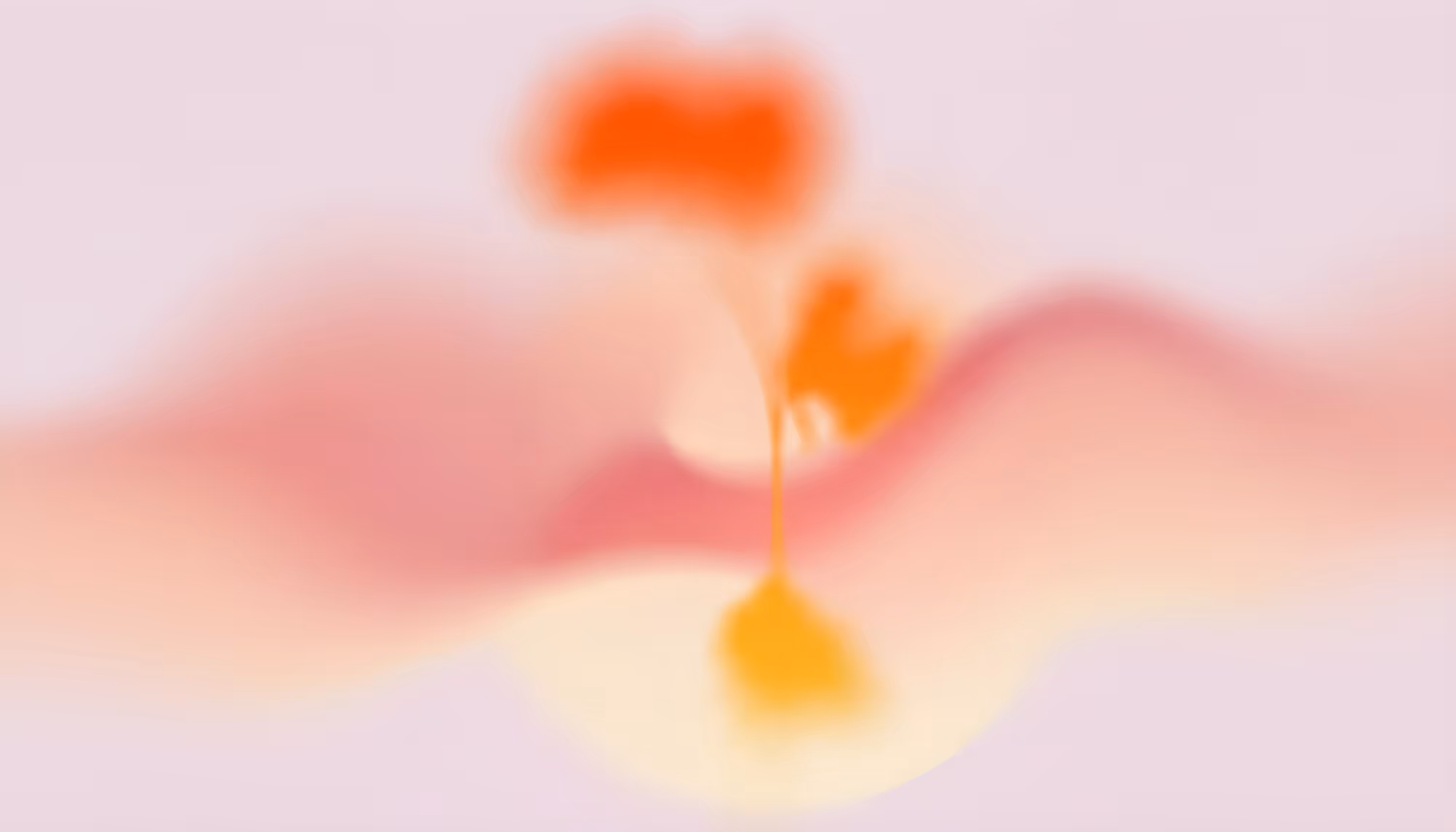 Abstract image with blurred gradients of pink, orange, and yellow, resembling soft waves or blooming flowers. It conveys a serene, dreamy mood.