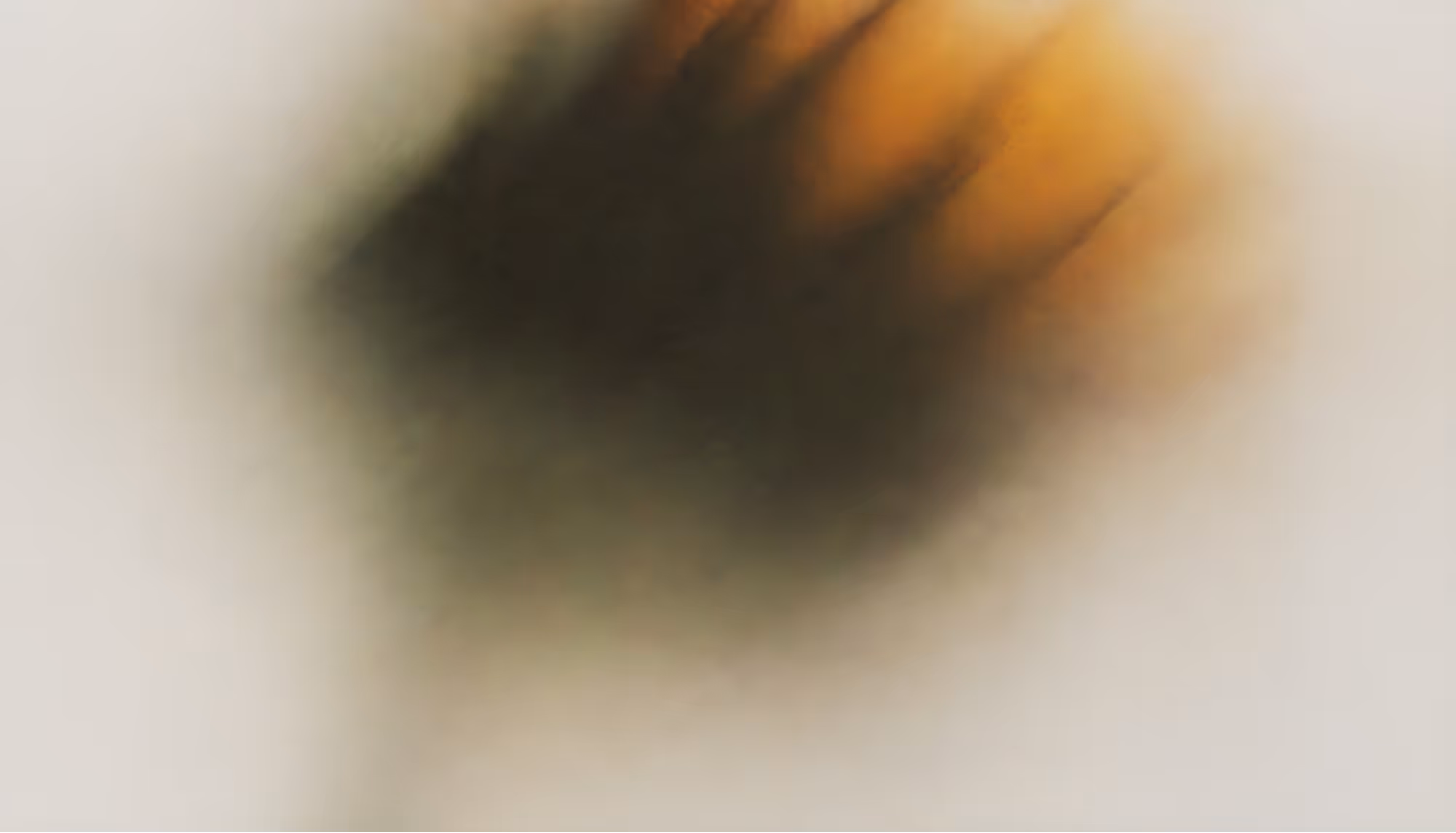 Abstract image with blurred orange and dark shapes, resembling motion or movement on a soft white background, conveying a sense of mystery and fluidity.