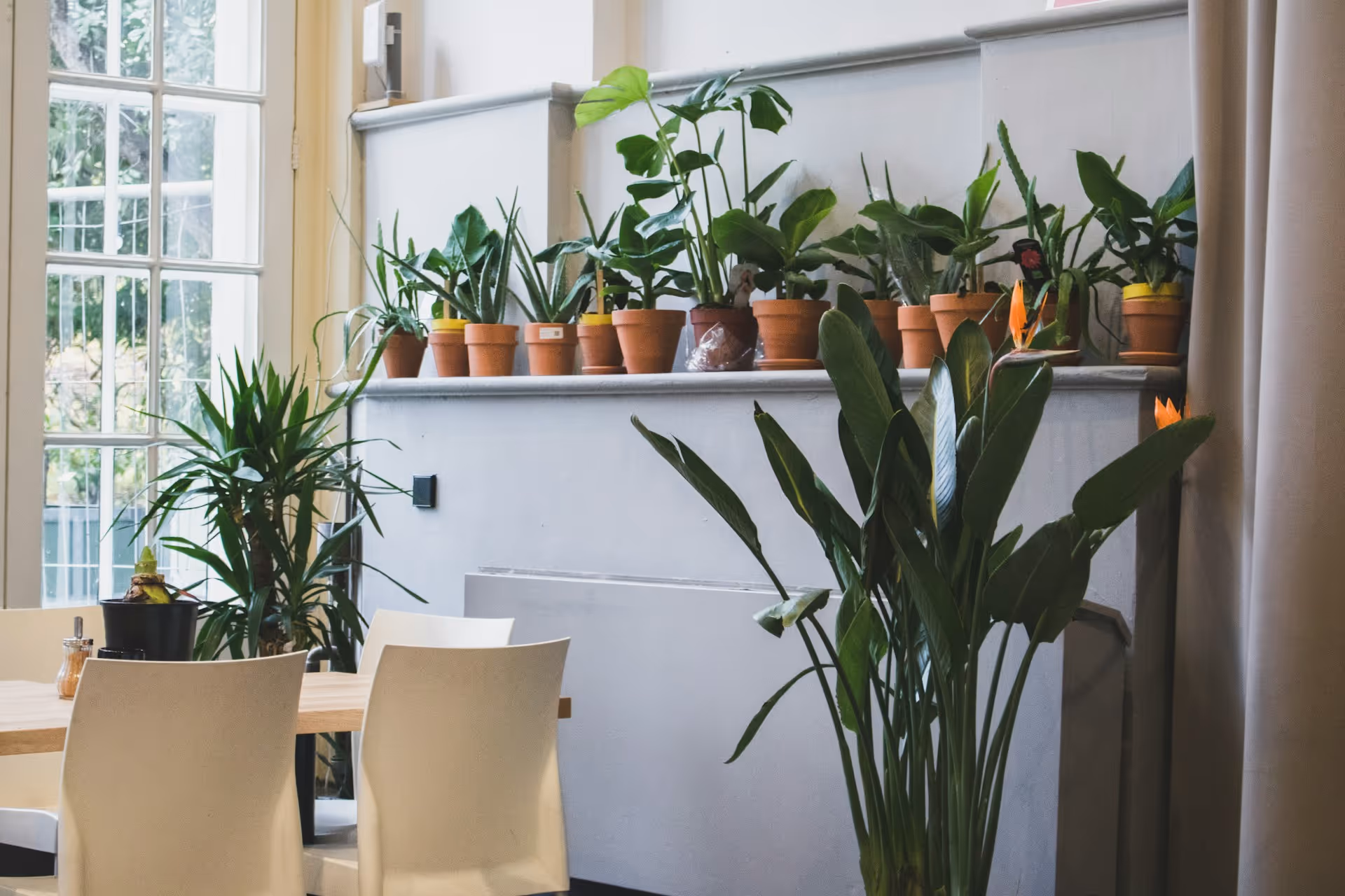 The Eco-Friendly Office Thumbnail