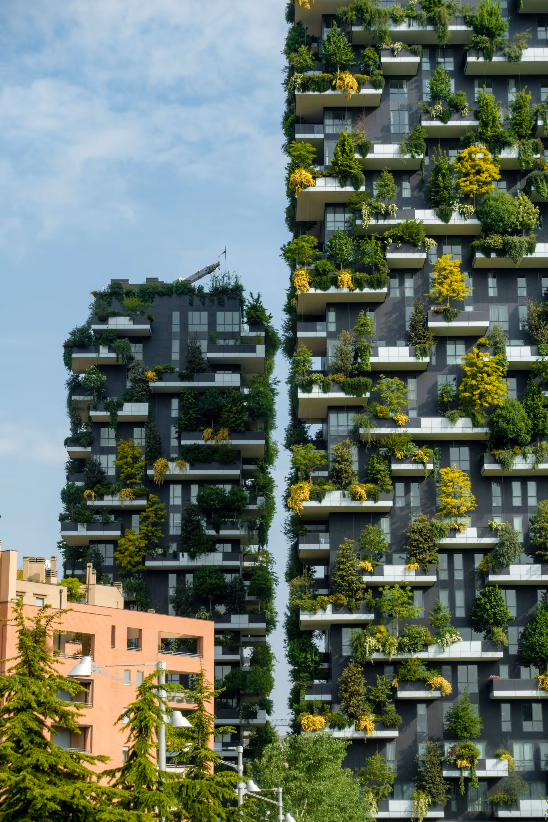 The Green Revolution in Real Estate Banner
