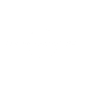Adidas brand name in white lowercase letters on black background.