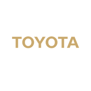 Adidas brand name logo in white text on black background