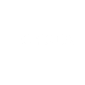 Toyota logo with overlapping ellipses above the brand name in capital letters.