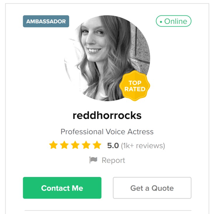 redhorrocks - Fiverr sellers who make 6 figures a year