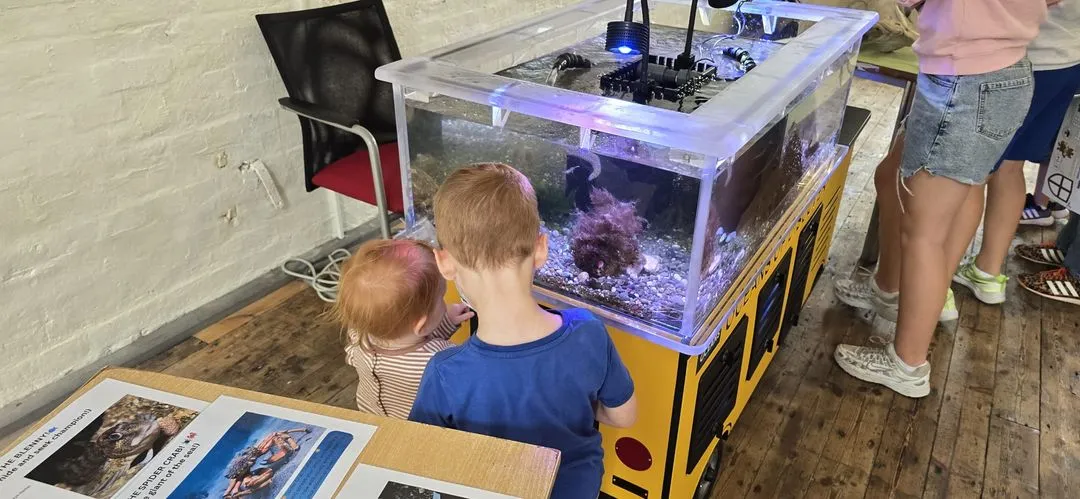 Two young children looking at colorful fish in a large aquarium tank.