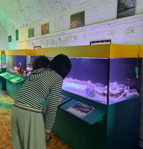 Two young children looking at colorful fish in a large aquarium tank.