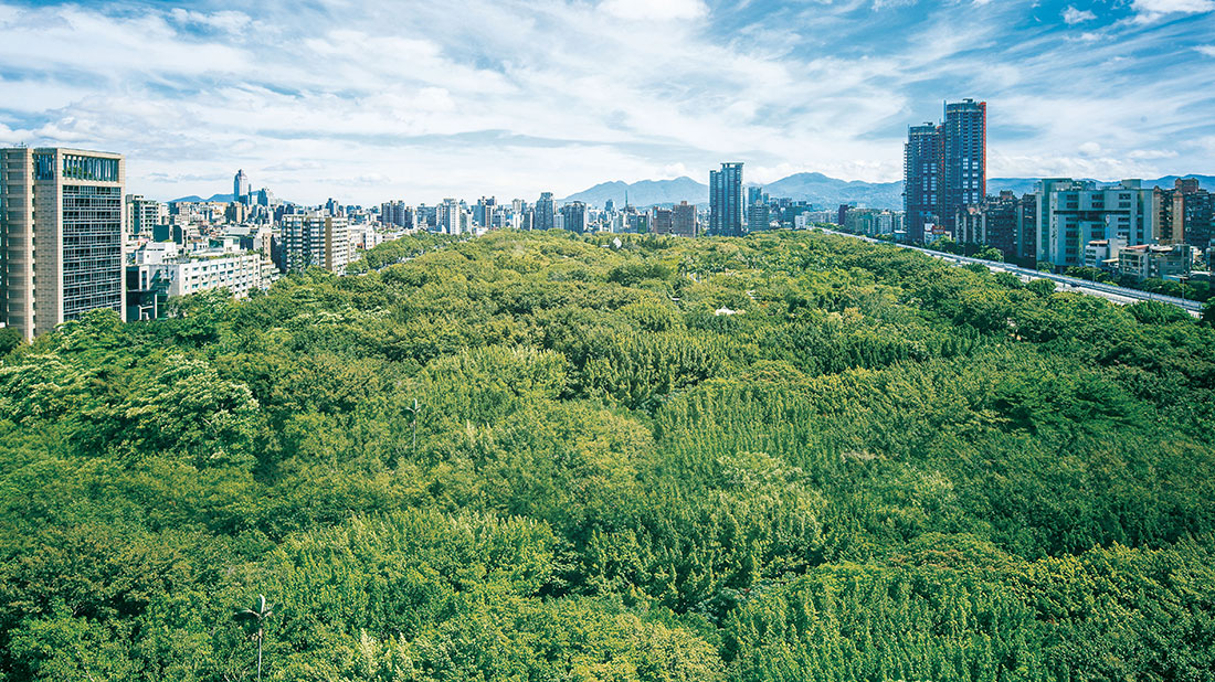 新美齊 PARK 259