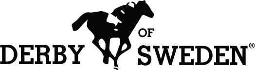 Derby of Sweden®
