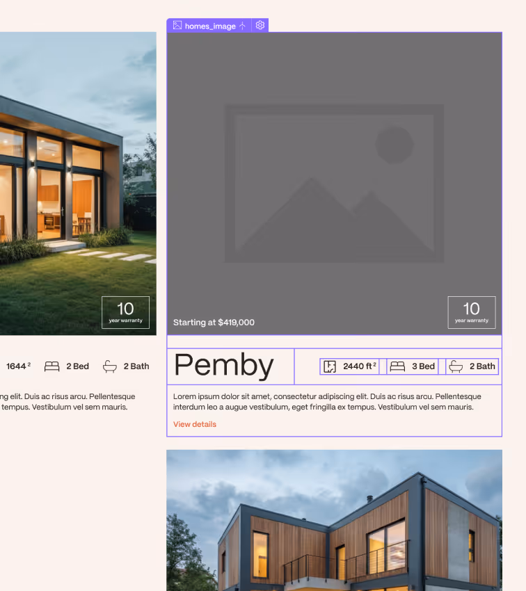 Webflow development and CMS 