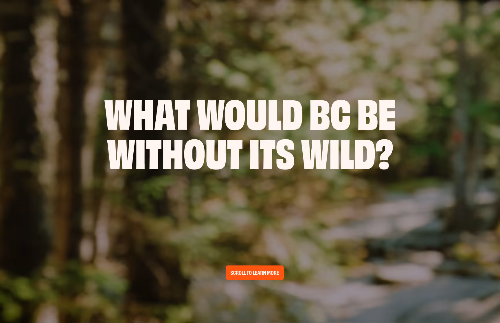 The homepage hero for Keep it Wild BC