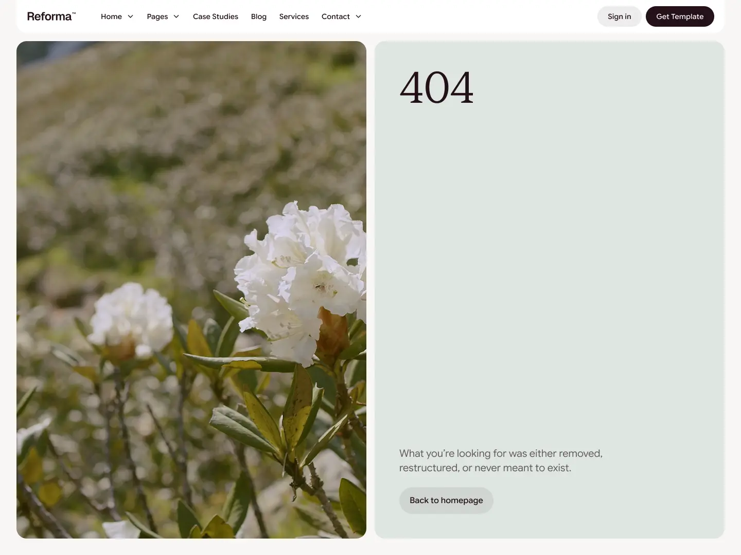 404