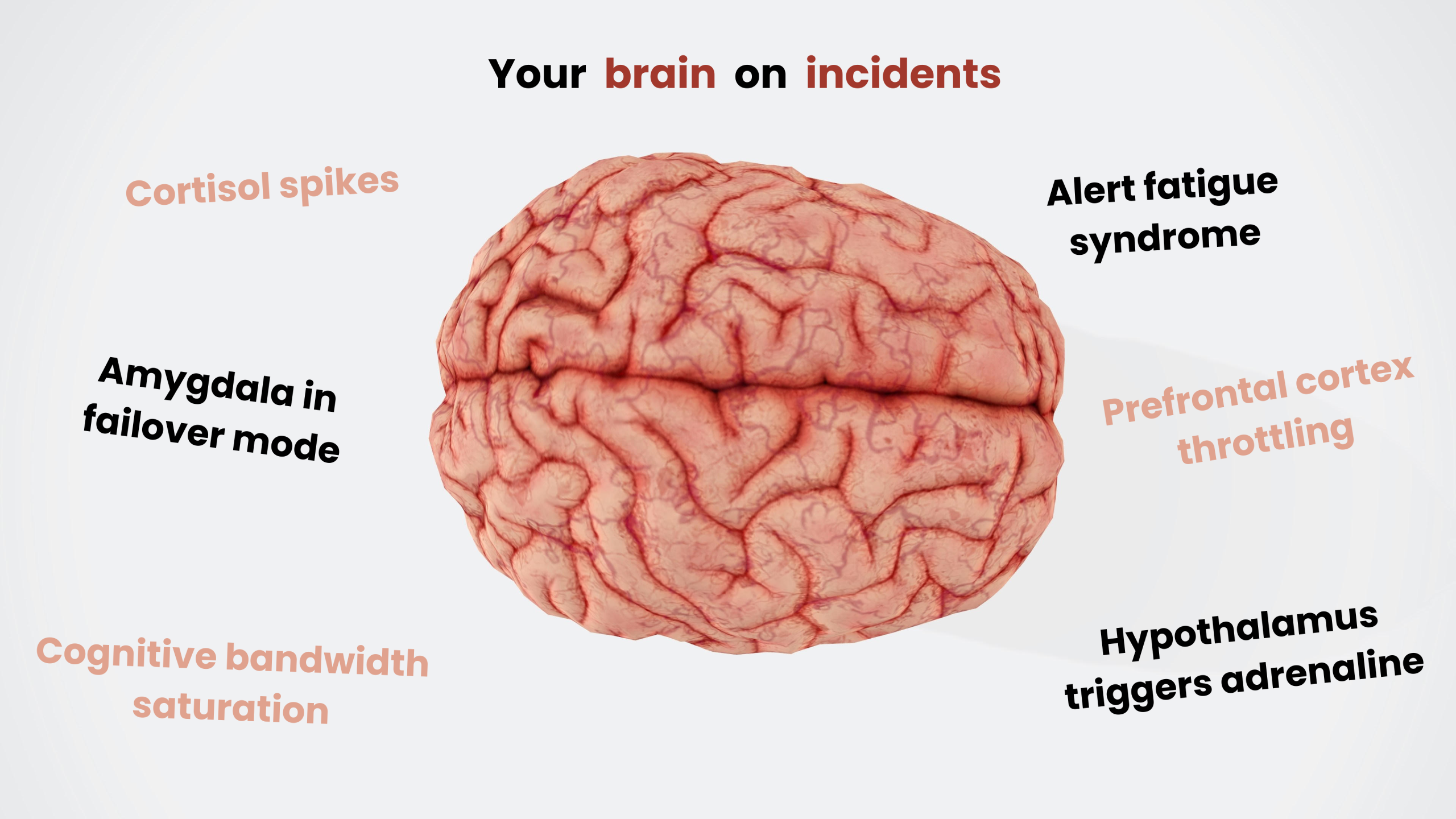 Infographic listing the psychological effects of incidents on the brain