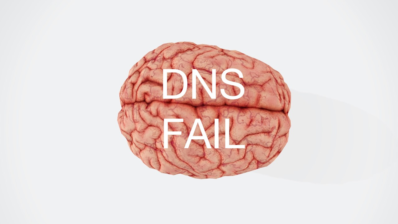 DNS fail brain image