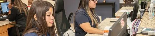 A woman sitting at a desk in front of a computer.