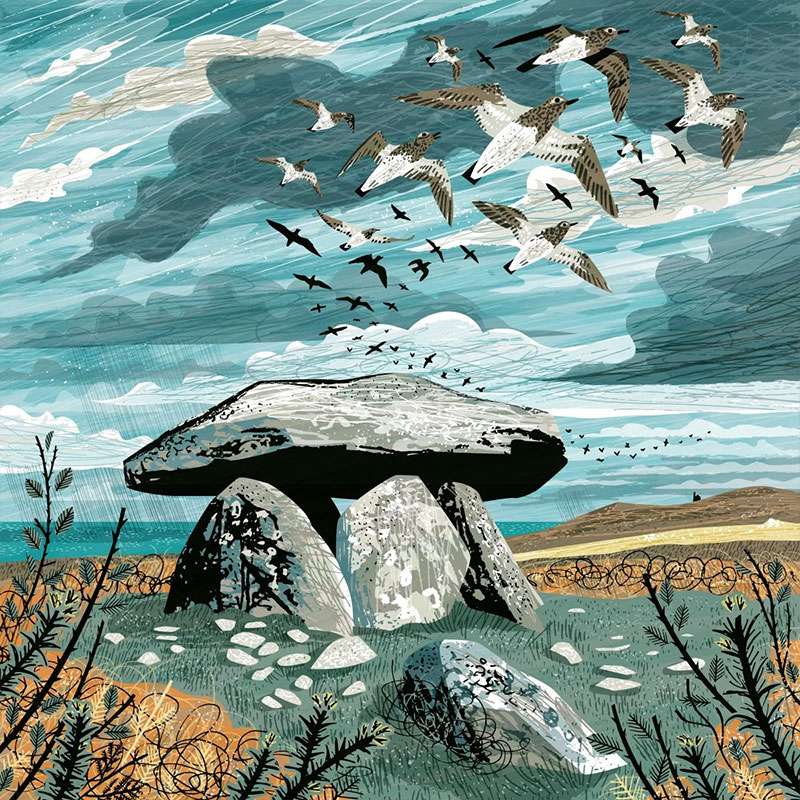 Chun Downs Plovers Illustration