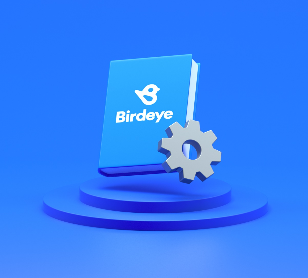 Blue book labeled Birdeye with white bird logo and a gray gear icon beside it on a blue platform.