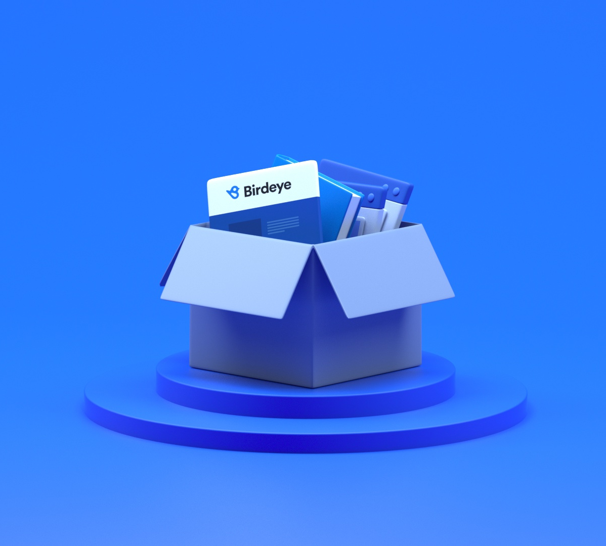 Open blue box on blue platform containing folders and a document labeled Birdeye.