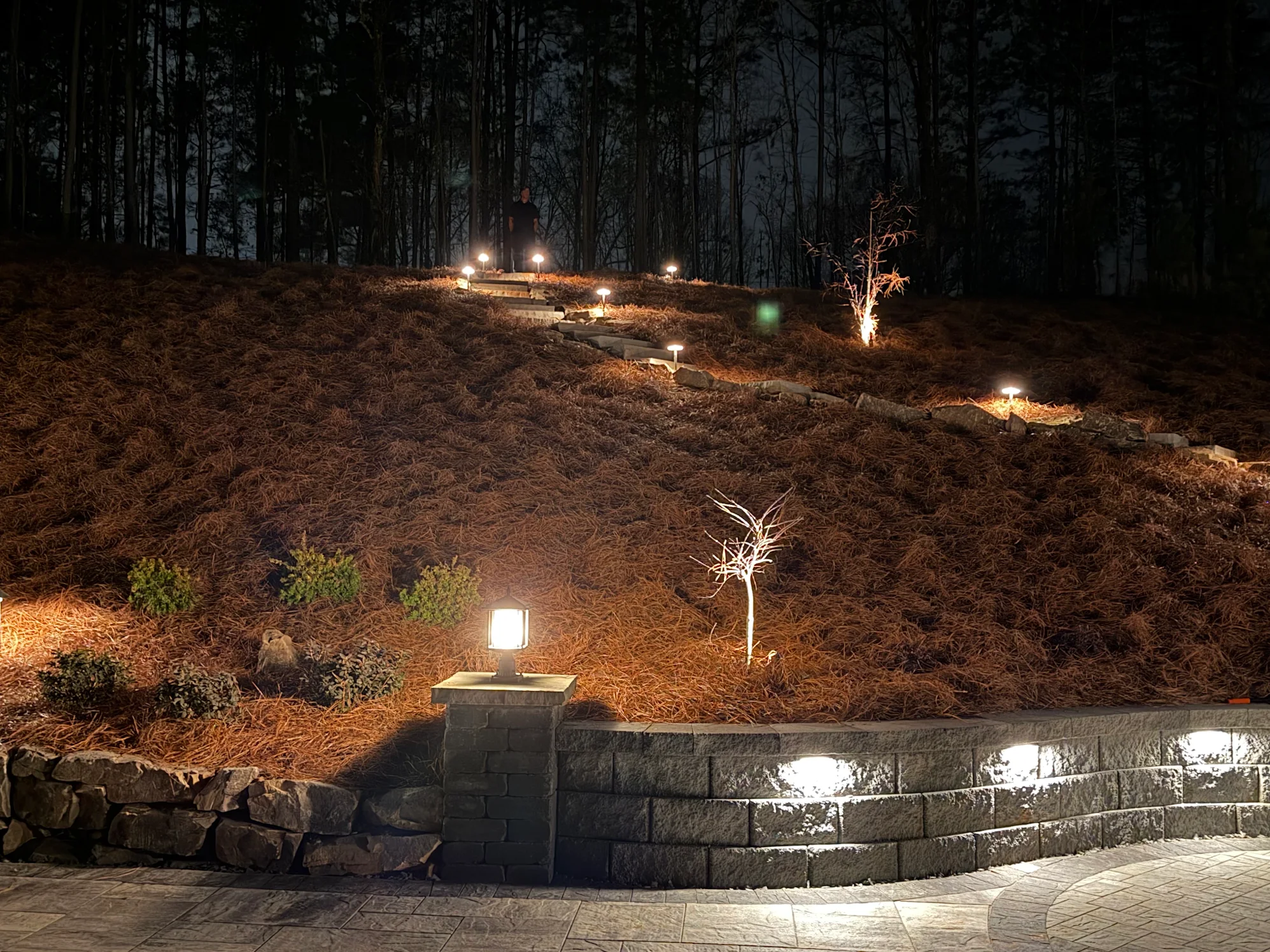 landscape at dusk with landscape lighting iluminating rock steps