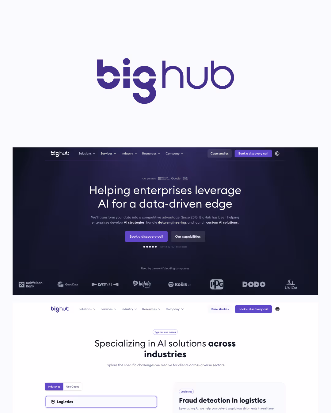 BigHub website thumbnail preview