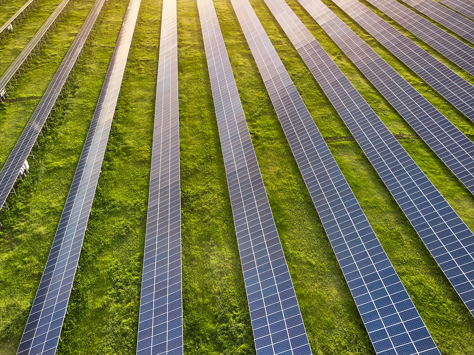 Rows of solar panels installed on green grassy land with sunlight shining on them.