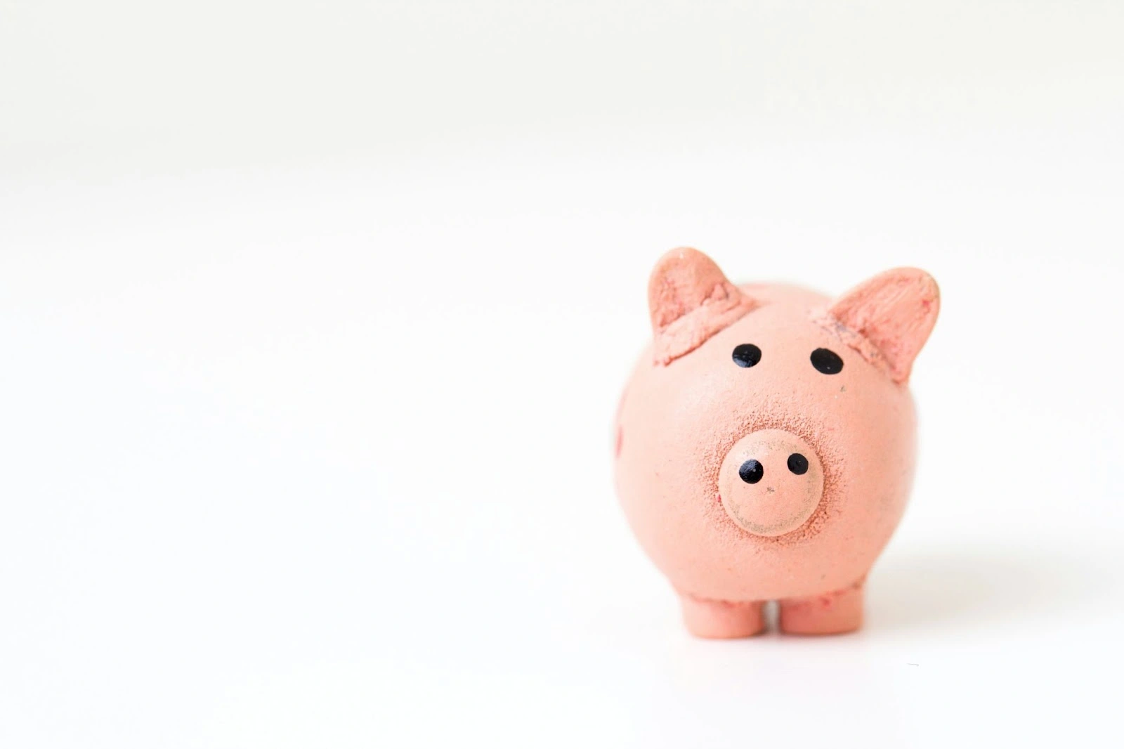 cochon tirelire - performance financière