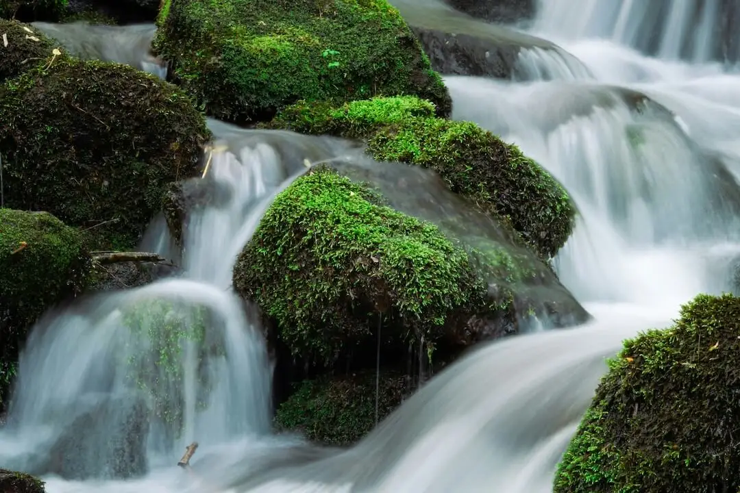 Moss-covered rocks with water gently cascading over them in a soft, flowing stream.