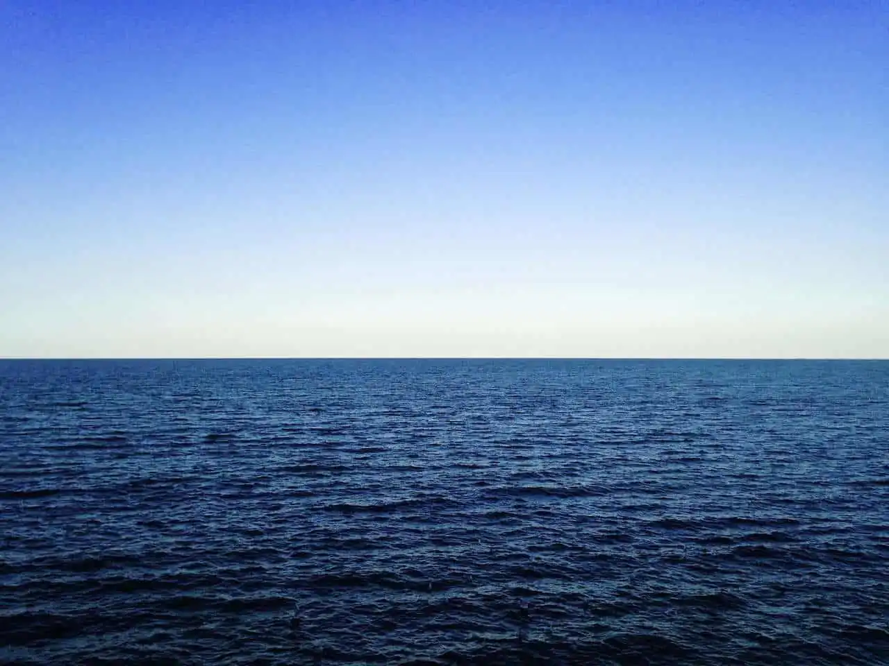 Calm open ocean under a clear blue sky, with the horizon stretching across the centre of the frame.