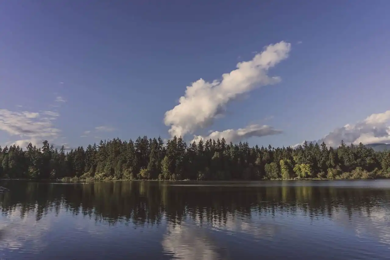 A single cloud stretches across a blue sky above a dense treeline, its reflection mirrored perfectly in the still water below, evoking a sense of balance, quiet, and natural symmetry.