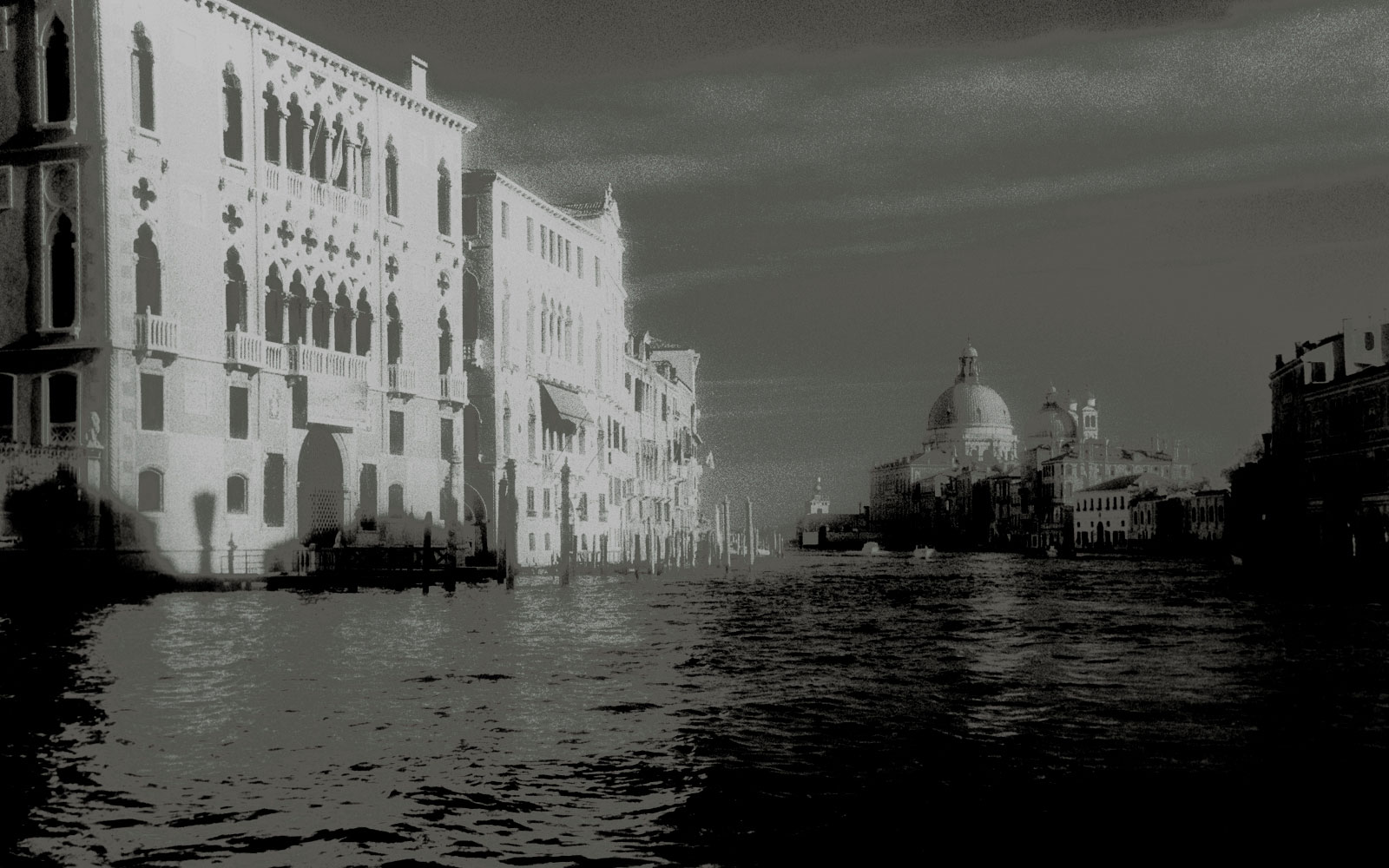 Venice silkscreen study