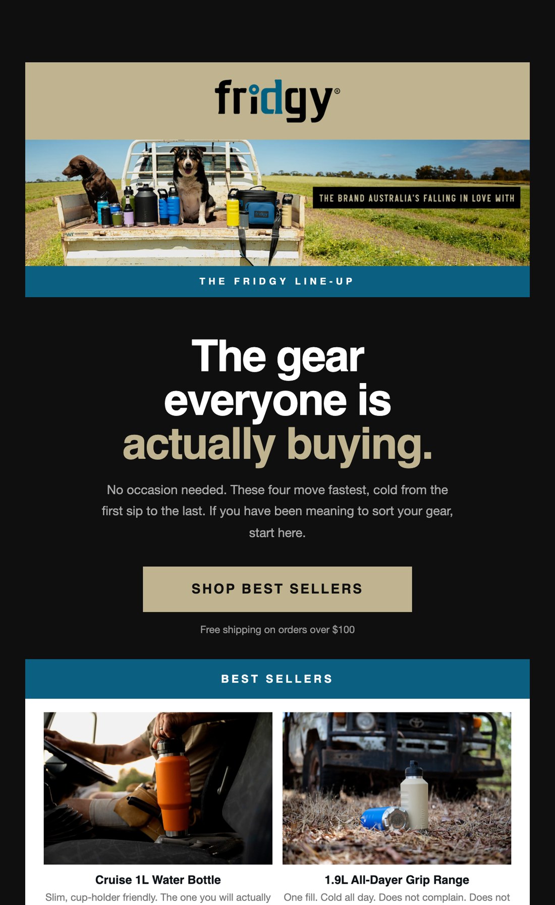 A Fridgy best sellers campaign email built and sent through Klaviyo