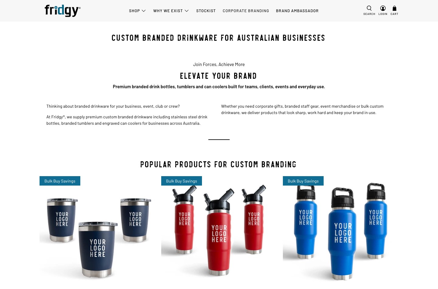 The Fridgy corporate branding page before the rebuild