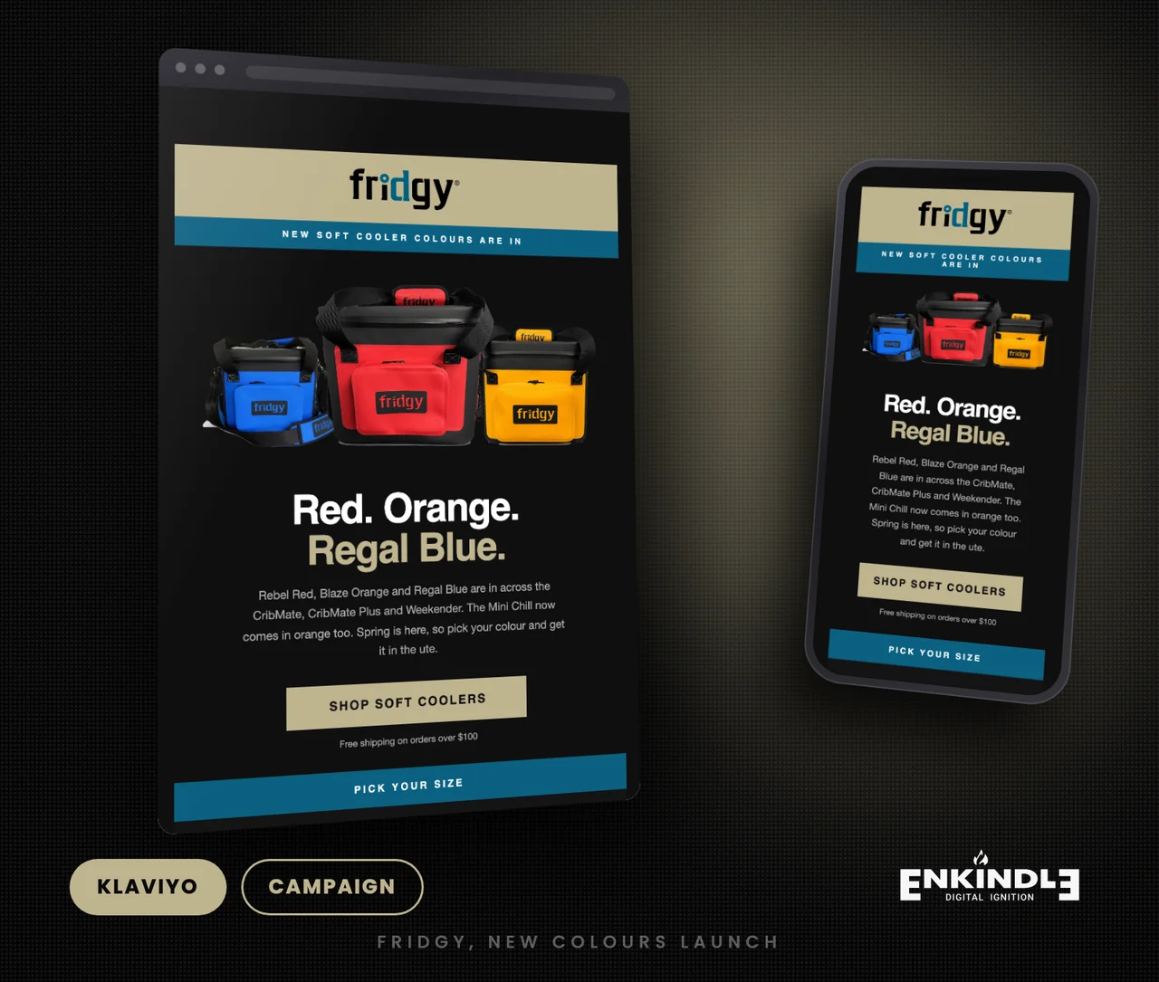 Fridgy new colours launch campaign email designed and built in Klaviyo by Enkindle Group